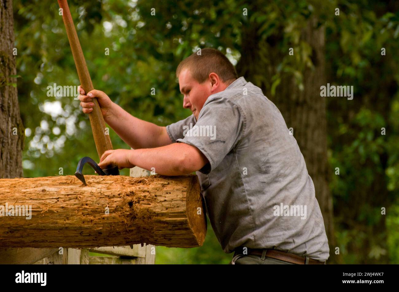 Log roll, Linn County Loggers' Jamboree, Linn County Pioneer Picnic