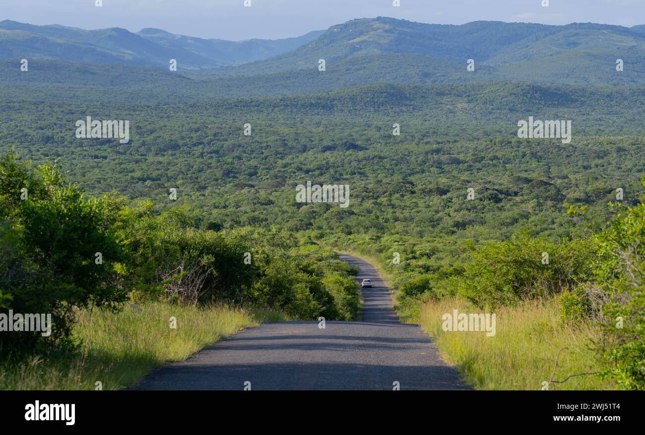 Hluhluwe Imfolozi Park Nature Reserve South Africa Stock Photo