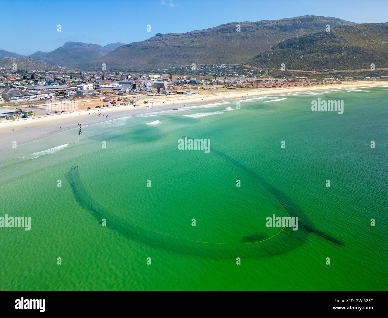 Trek fishermen, pulling fishing nets in with yellowtail catch, Fish Hoek, Cape Town, South Africa Stock Photo