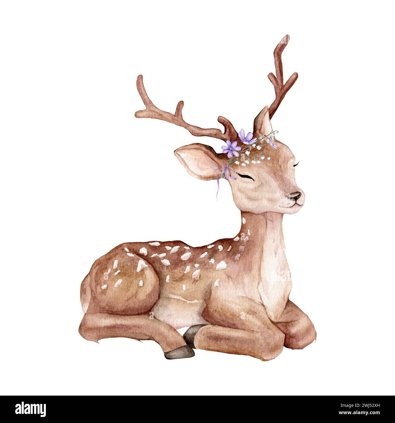 . Watercolor baby deer. Flowers violet coppice and lily of the violet valley green branches. Spotted deer isolated on white background. Hand painted Stock Photo