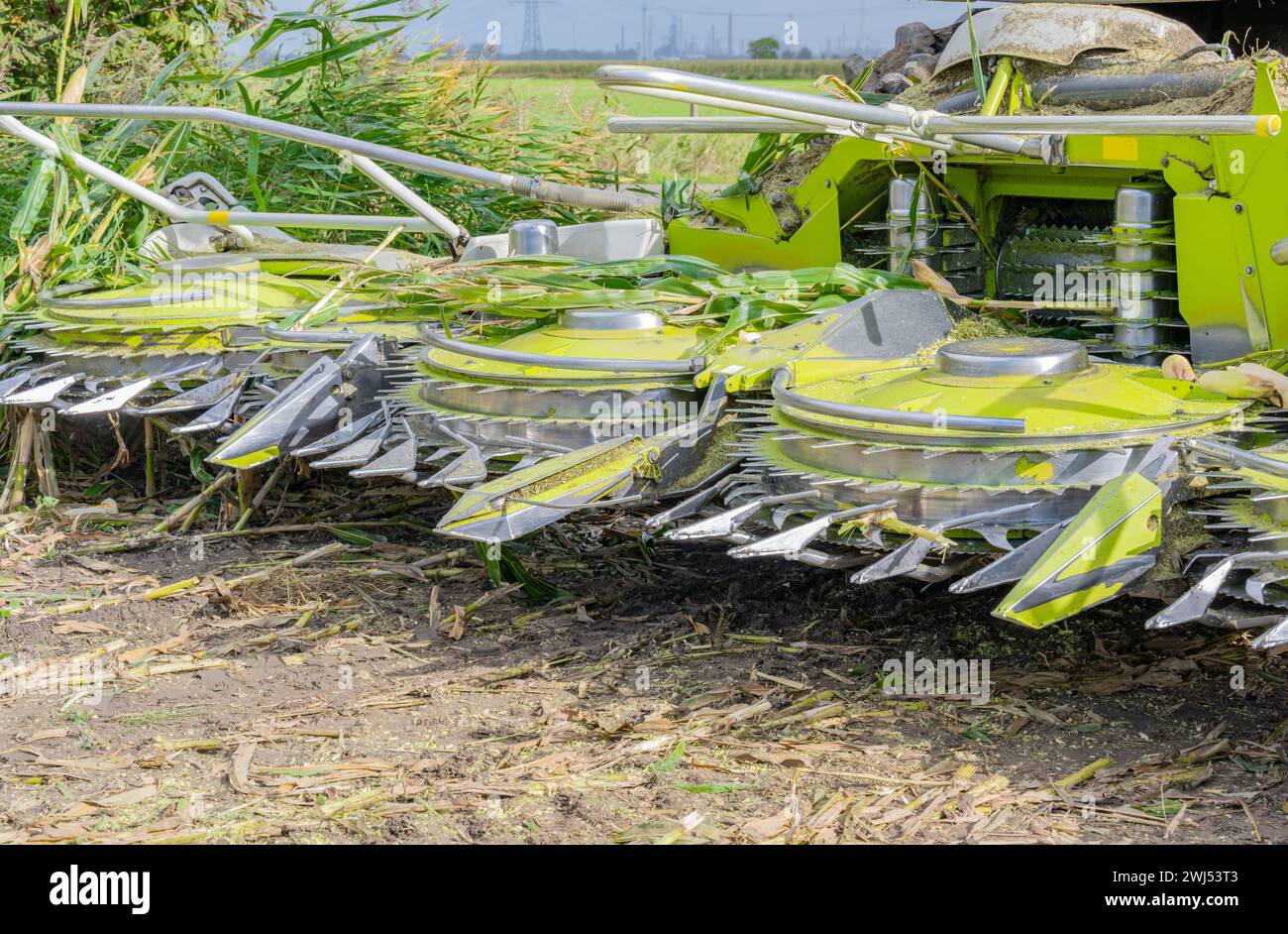 Maize header or mower attachment from a maize chopper Stock Photo