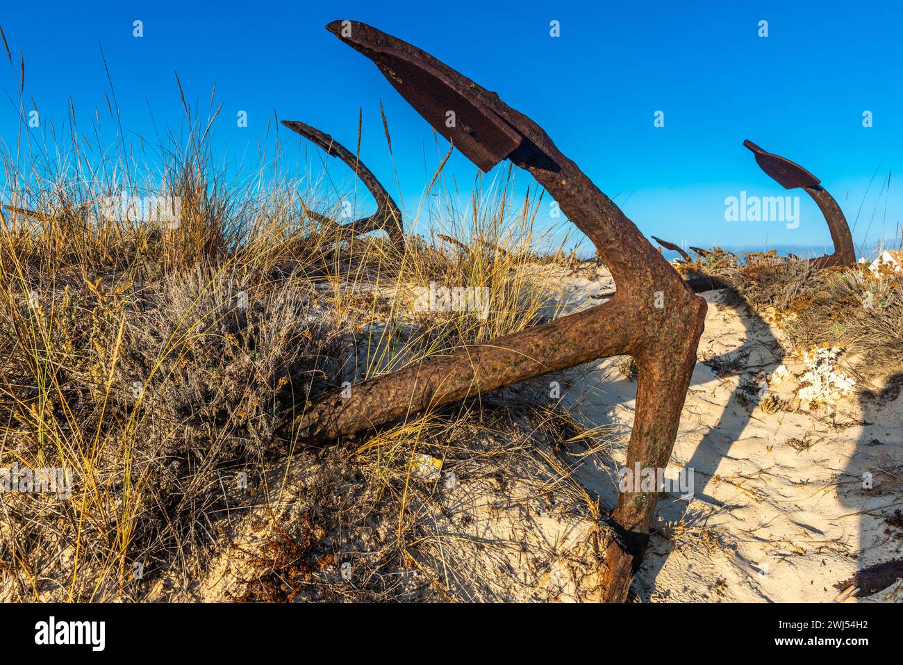 Cementery of old anchors in the sand of Barril beach in Tavira, Algarve, Portugal Stock Photo