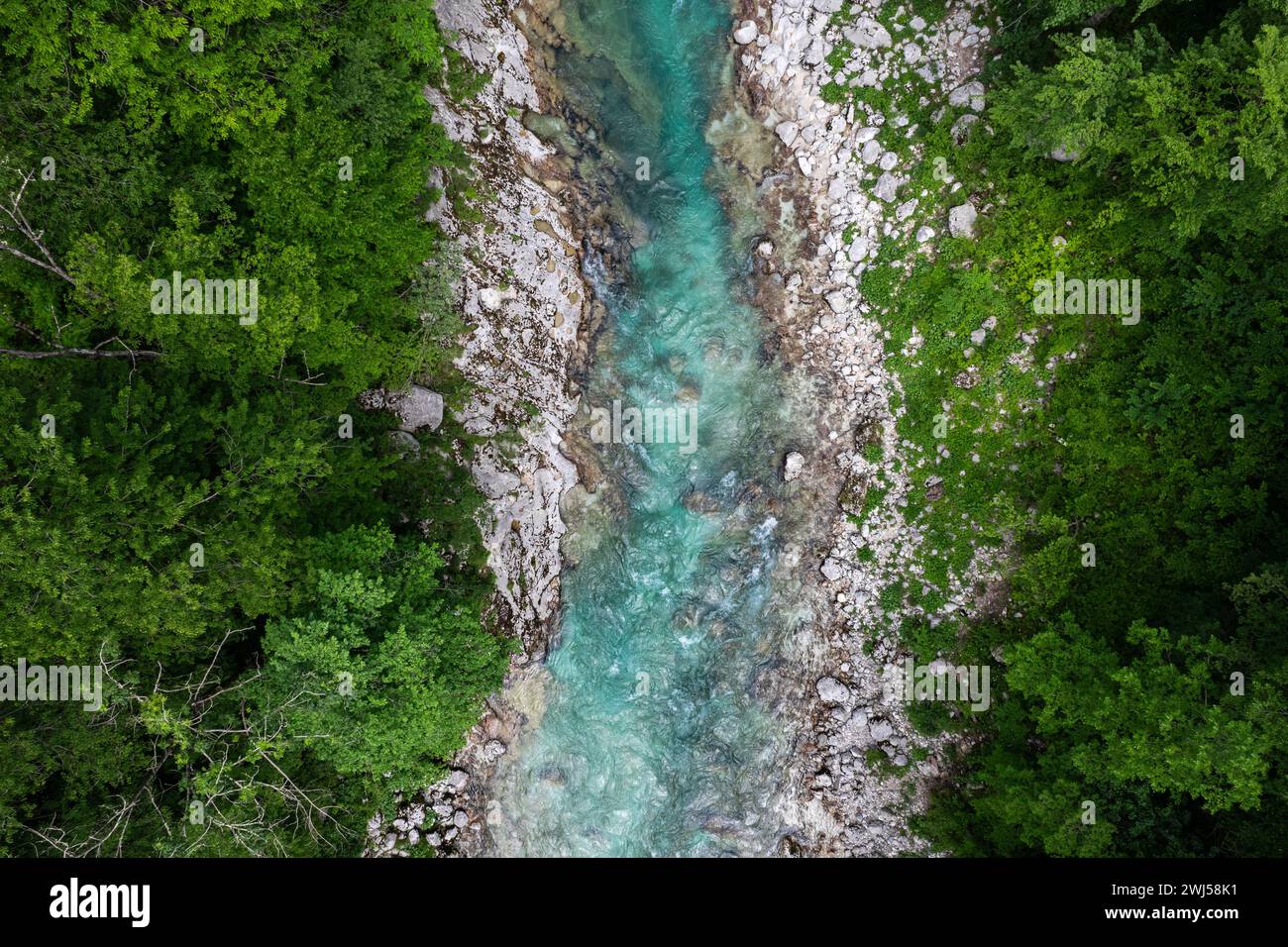 Aerial view lush forest river hi-res stock photography and images - Alamy