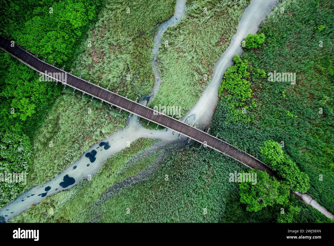 Zelenci Nature Reserve in Slovenia. Mountain wetlands with spring-fed