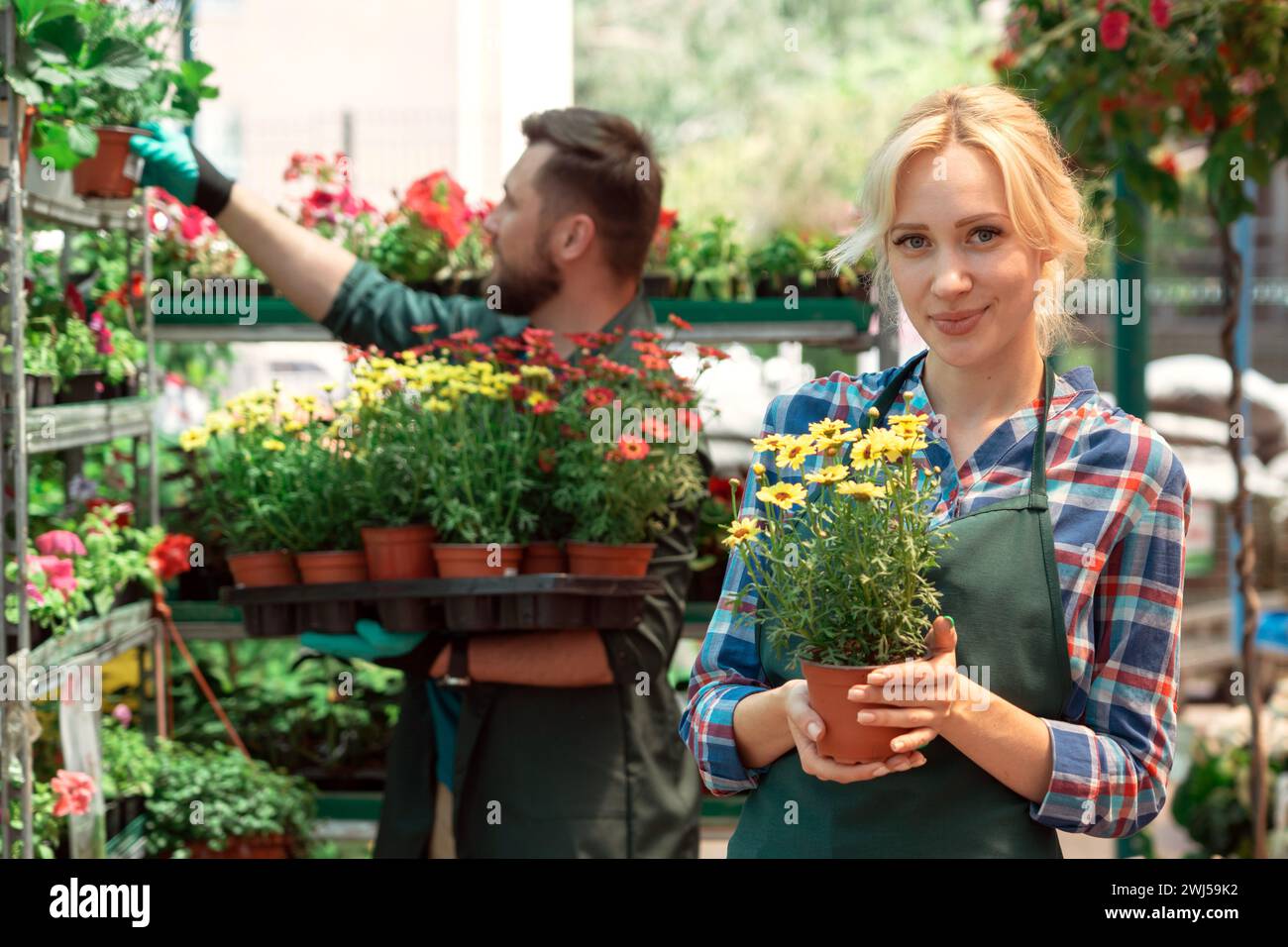Gardeners working with flowers in garden center Stock Photo