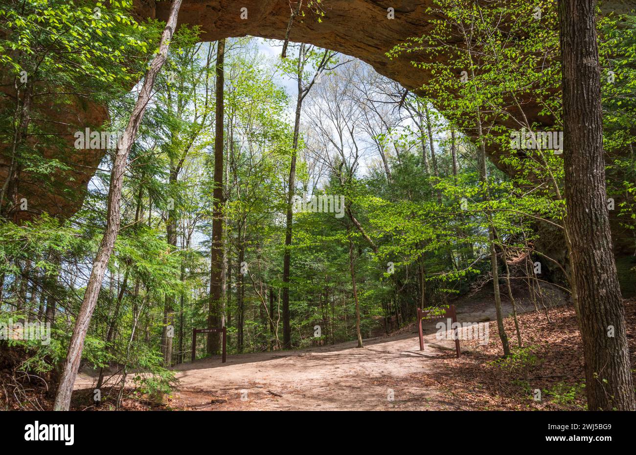 Twin Arches, Natural Rock Arch at Big South Fork National River and Recreation Area, in Tennessee, USA Stock Photo