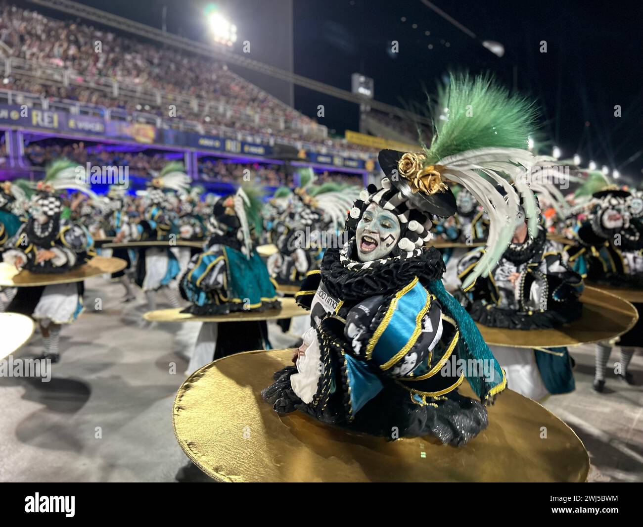 13 February 2024, Brazil, Rio De Janeiro Performers parade during the
