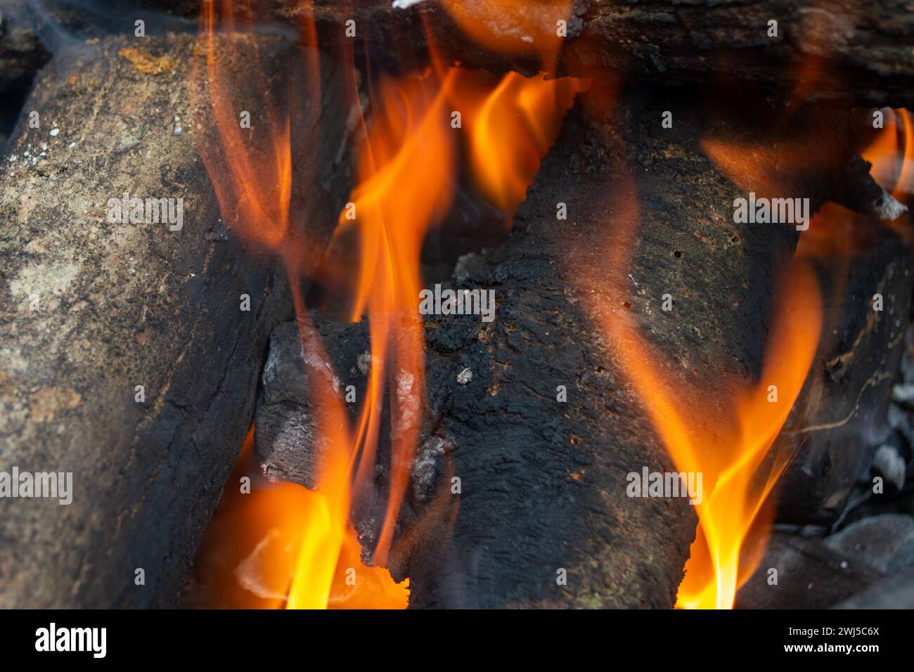 Leña ardiendo en barbacoa Stock Photo