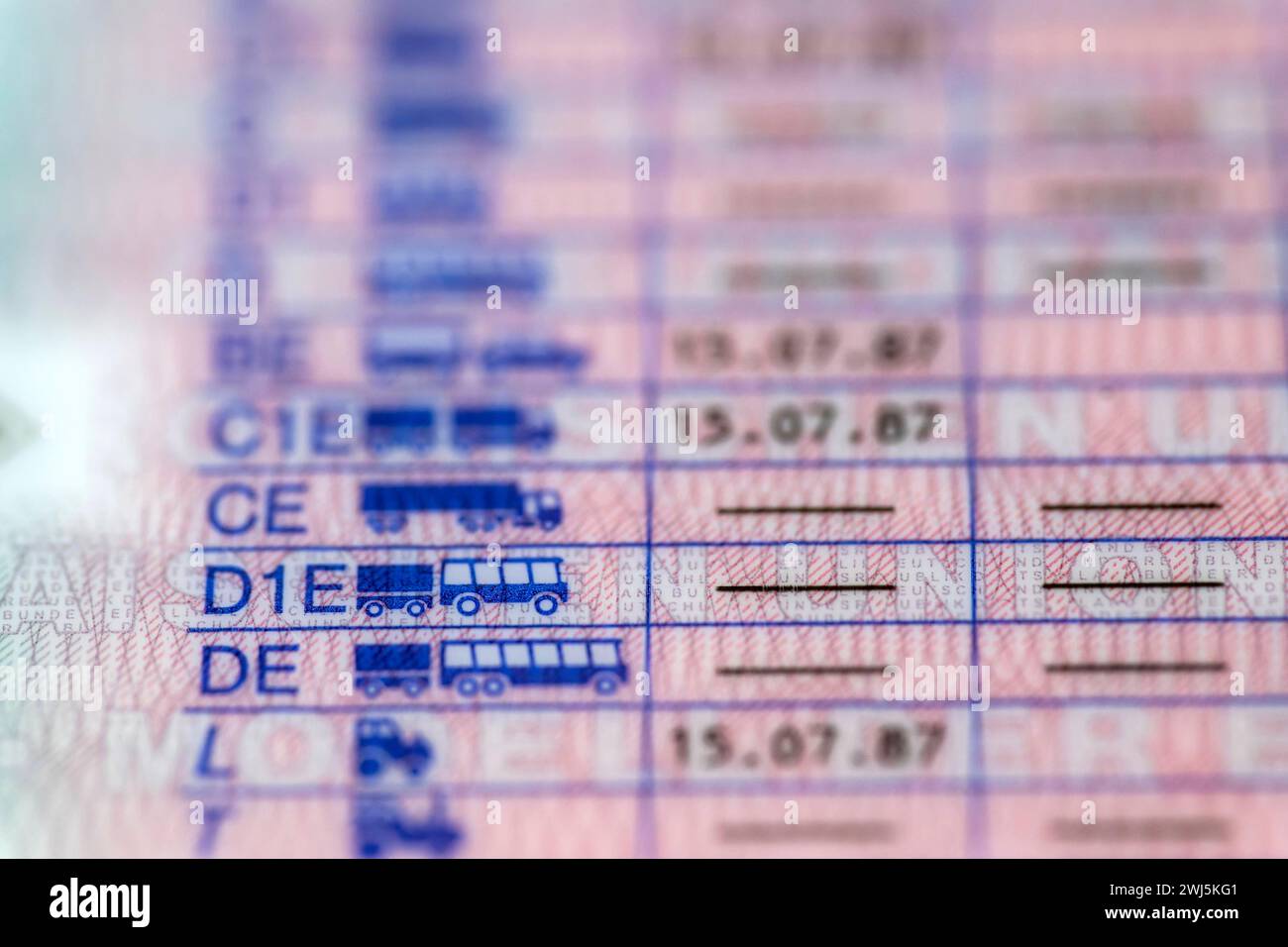  12.02.2024, Führerscheine, Neue EU-Verordnung für Führerscheine, bis Bildidee 