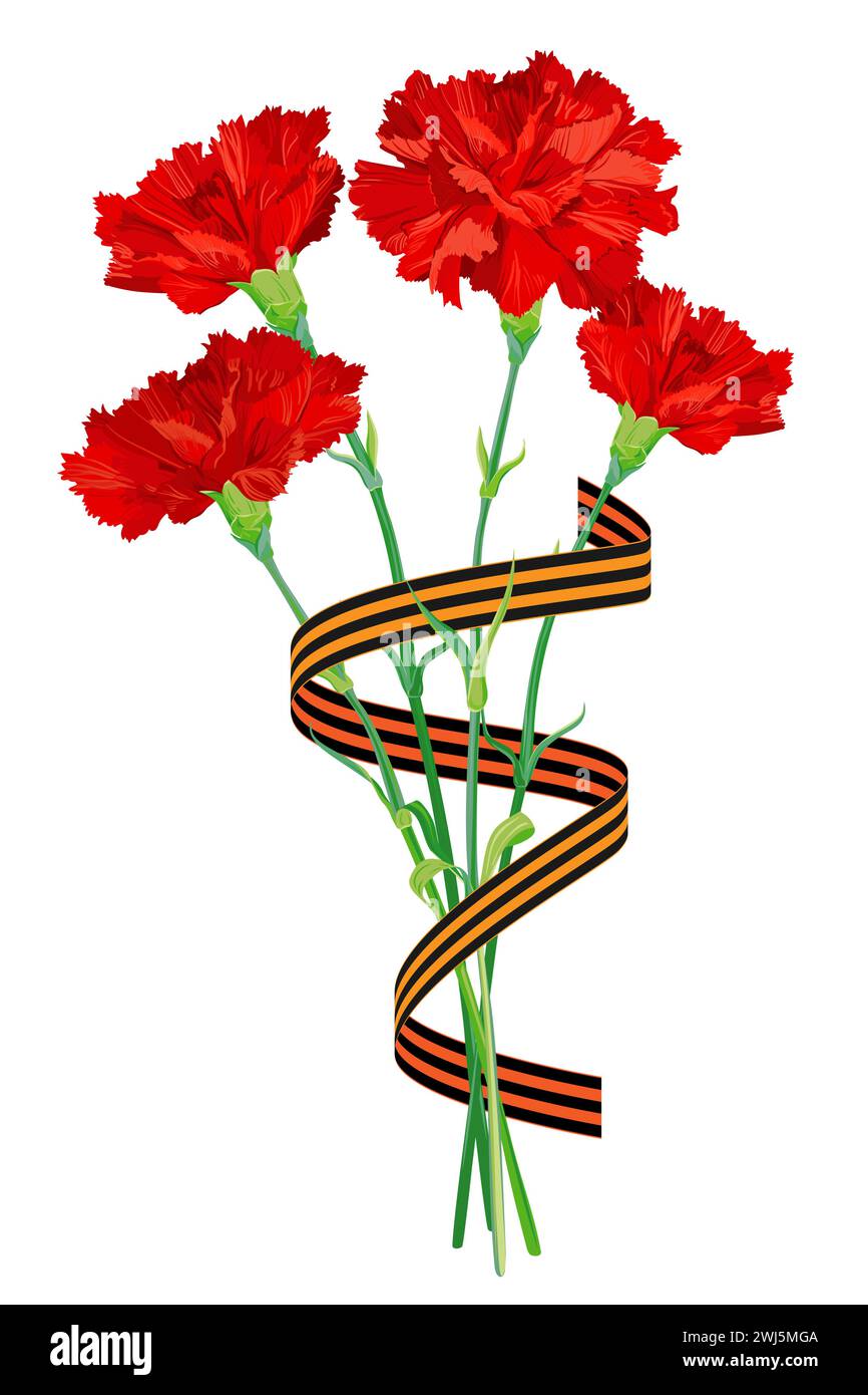 Red carnations isolated on a white background. A bouquet with a St. George ribbon to honor the fallen heroes. Vector clipart for greeting cards for Vi Stock Vector