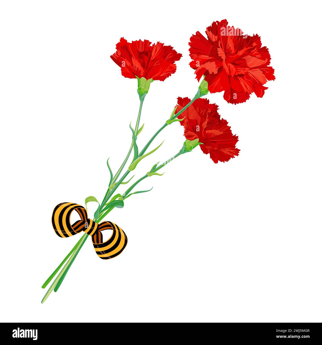 Red carnations isolated on a white background. A bouquet with a St. George ribbon to honor the fallen heroes. Vector clipart for greeting cards for Vi Stock Vector
