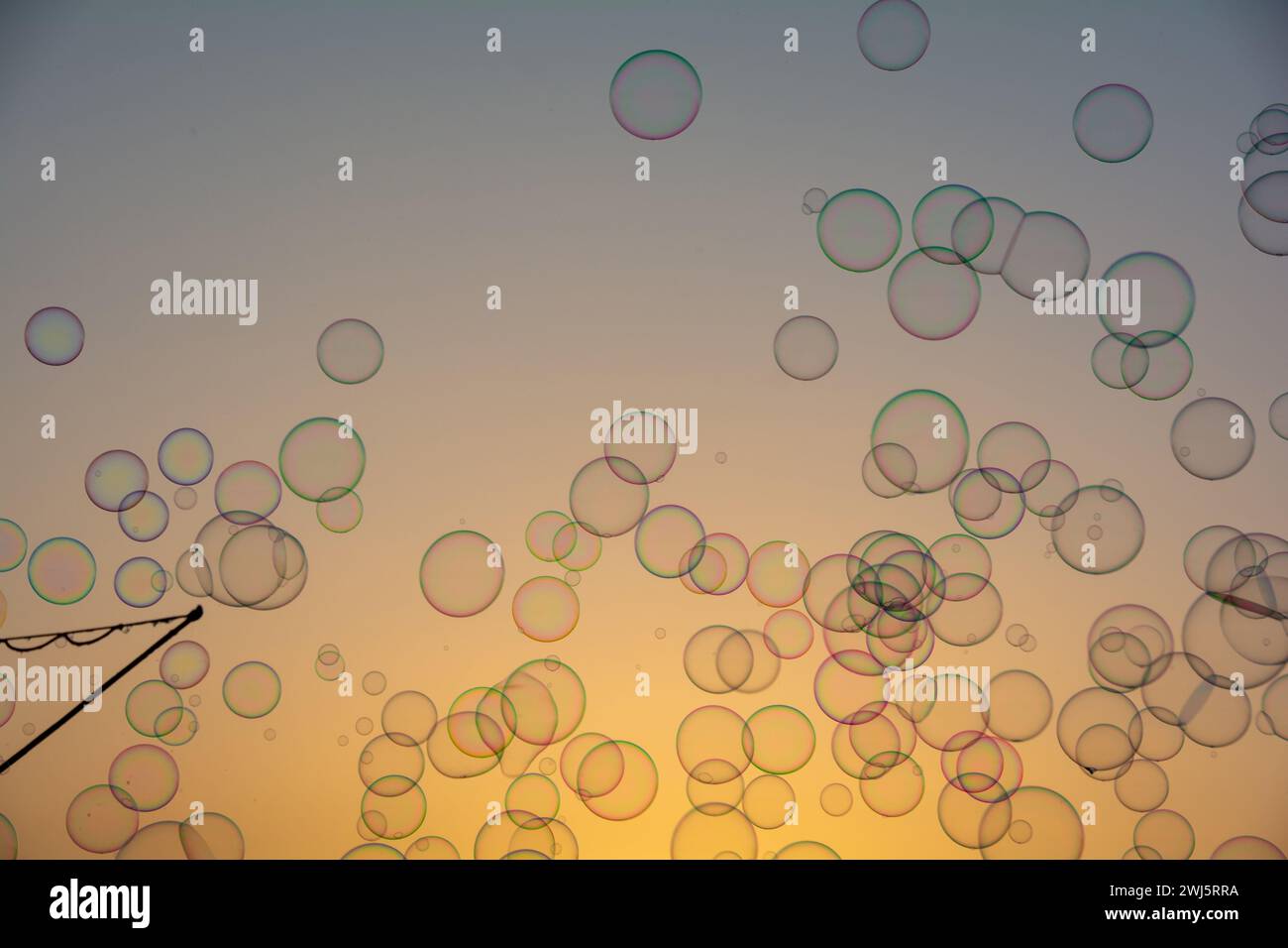 Lots of colorful soap bubbles floating in the orange sky at sunset with ...