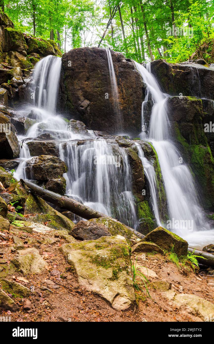 waterfall skakalo among primeval beech forest of carpathian mountains in spring. lush water stream out of the rock Stock Photo