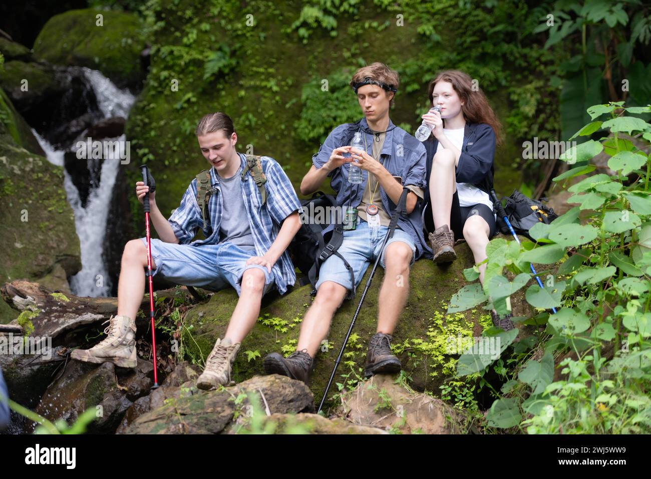 Group of young people hiking in the forest. Travel and adventure ...