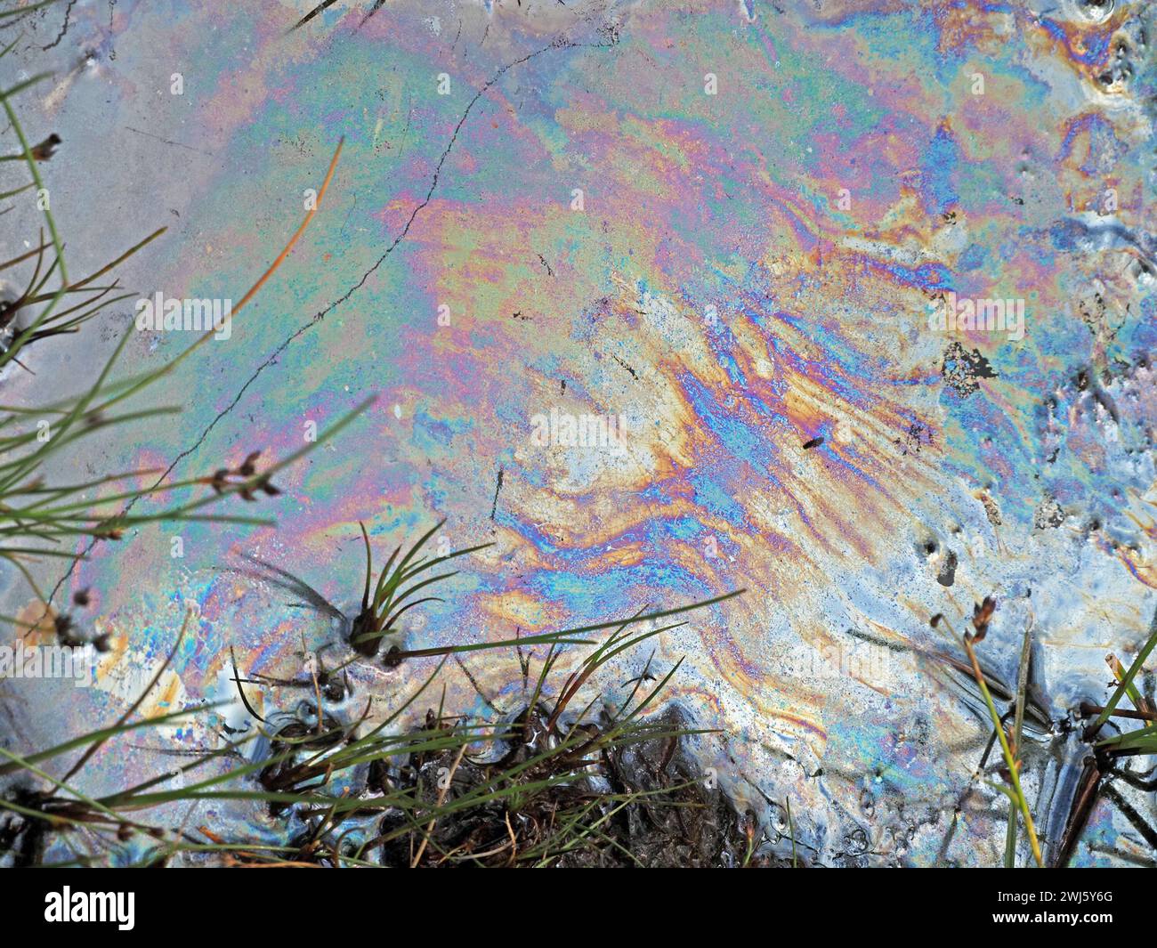 rainbow colours of natural bacterial film on water in a puddle in Mallerstang, Cumbria, England, UK Stock Photo