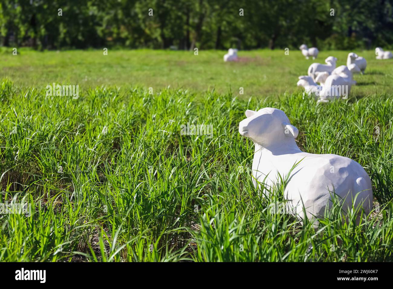 White, life-sized sheep sculptures rest in a lush green meadow Stock ...