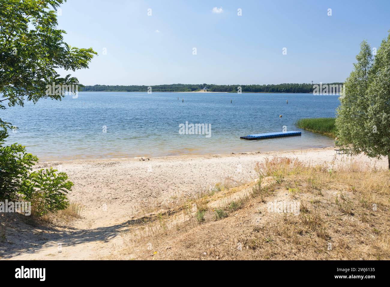 nördlicher Badestrand am Dreiweiberner See, Lausitzer Seenland, Lohsa, Sachsen, Deutschland *** Northern bathing beach at Lake Dreiweibern, Lusatian L Stock Photo