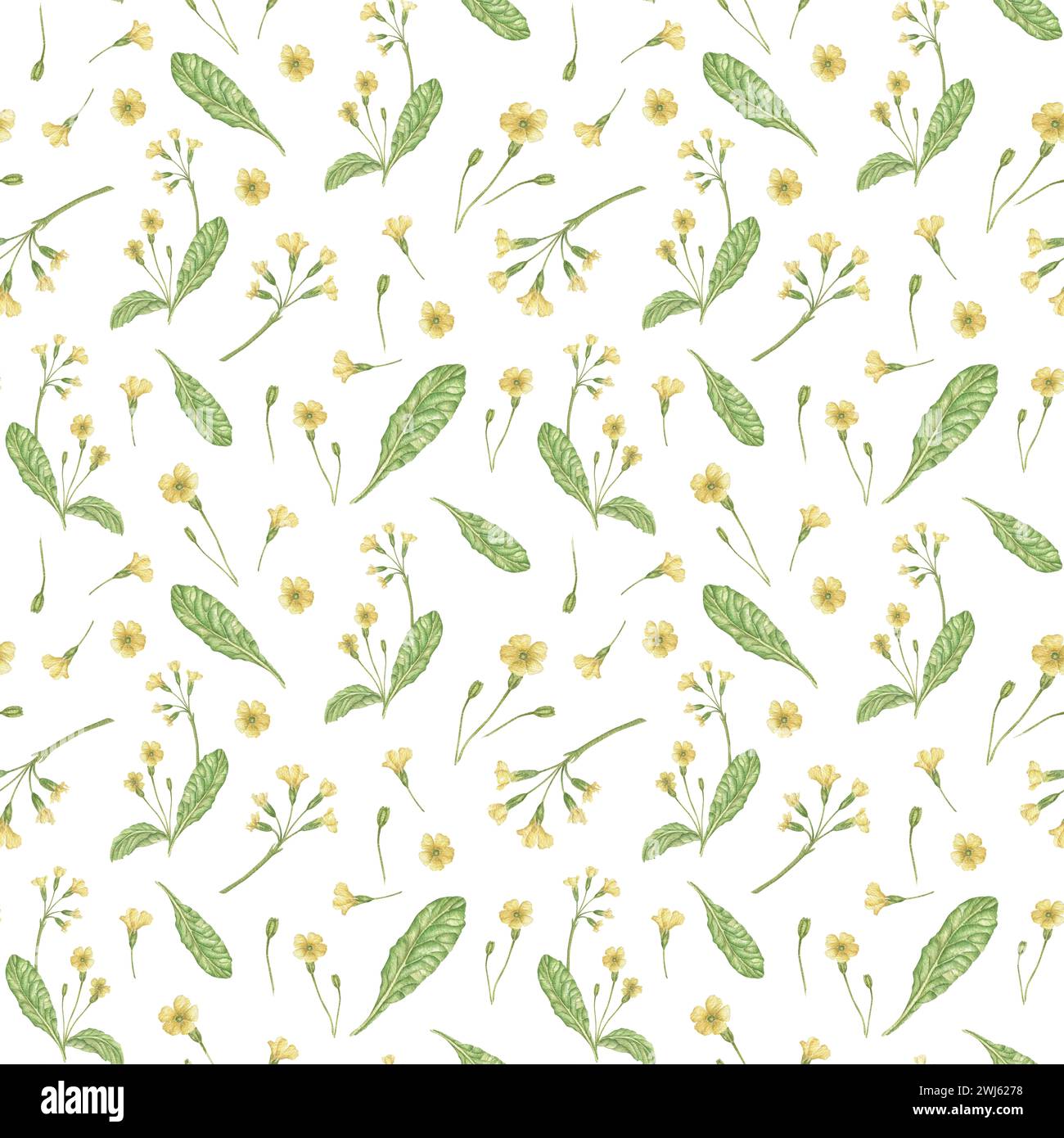 Watercolor floral seamless pattern in vintage rustic style, on an ivory background, hand-painted print, designer texture. Spring flowers for greeting Stock Photo