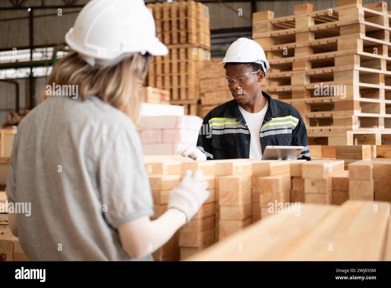 Young female and male warehouse workers using digital tablet for working in wooden factory, Checking the neatness of the planks Stock Photo