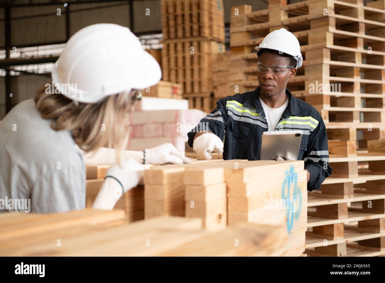 Young female and male warehouse workers using digital tablet for working in wooden factory, Checking the neatness of the planks Stock Photo