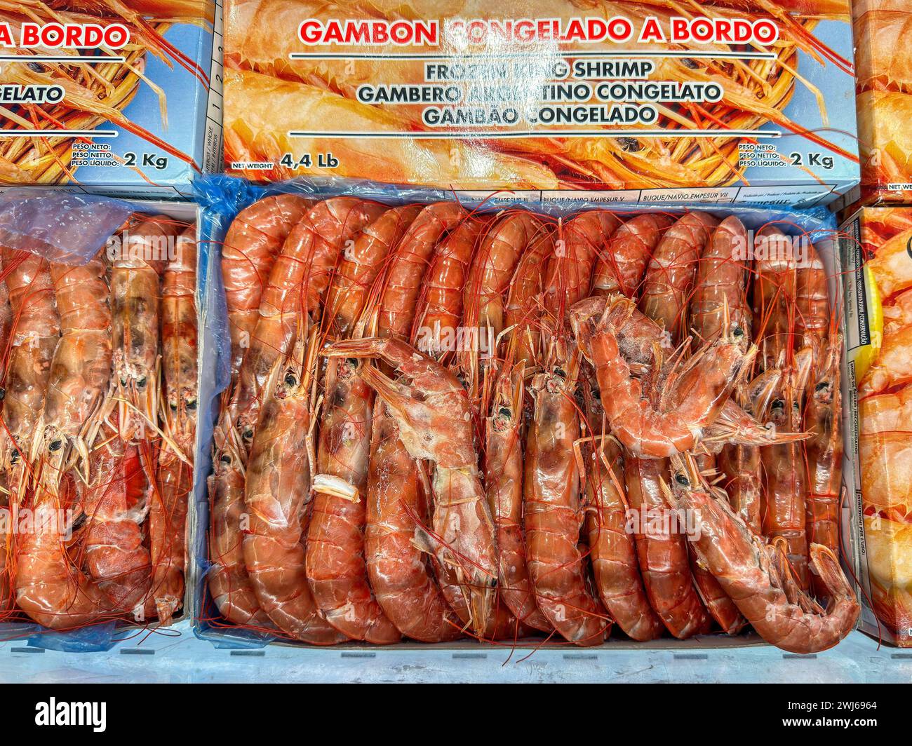 Large frozen shrimps in a grocery store in Alicante, Spain Stock Photo
