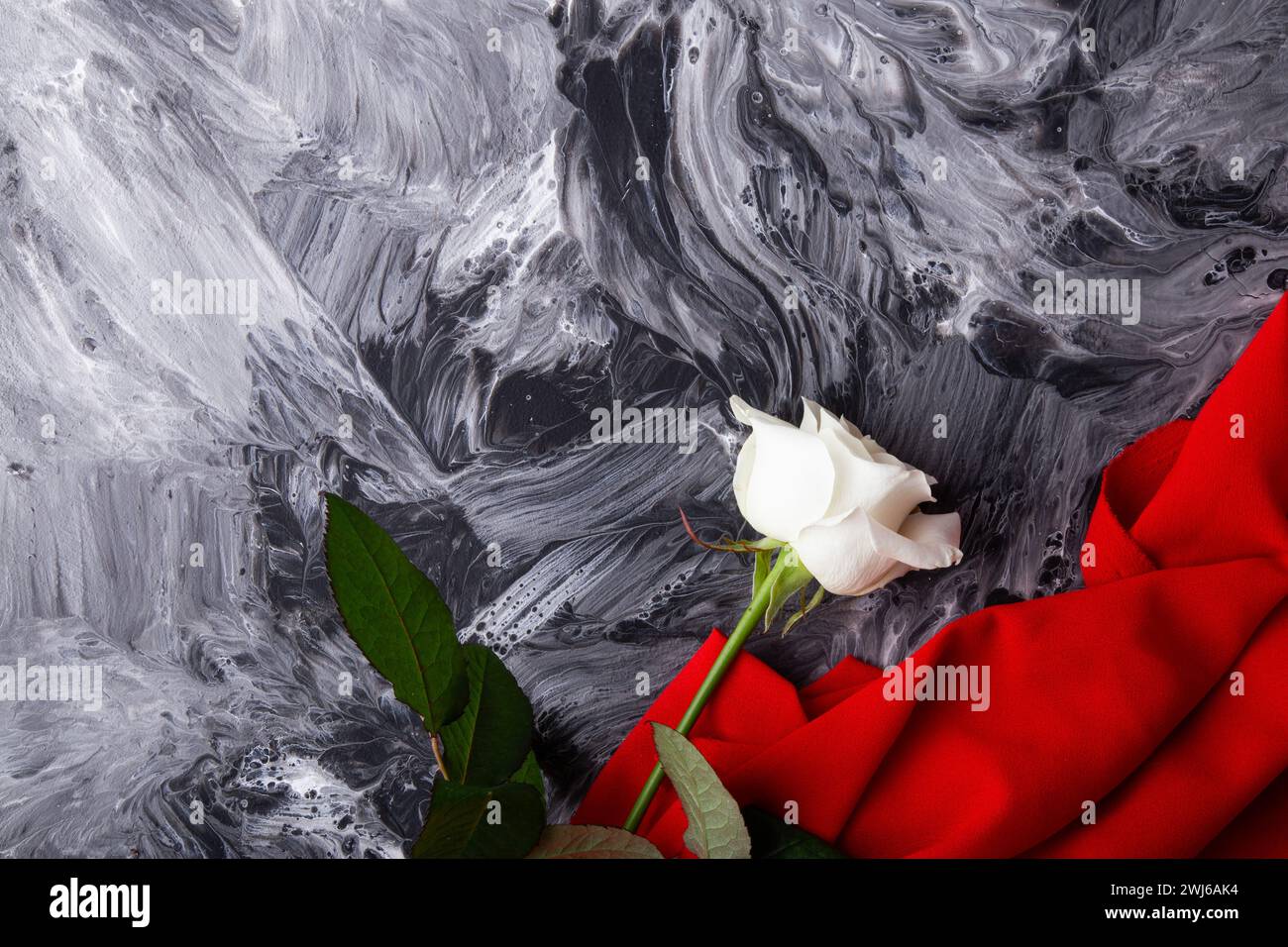Red White Roses Abstract White rose on abstract monochrome texture with vibrant red fabric. Copy ...