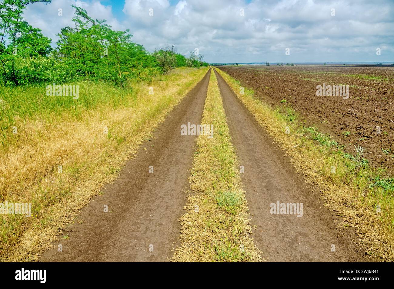 A field earth-road runs along a sown field and a forest strip (shelter ...