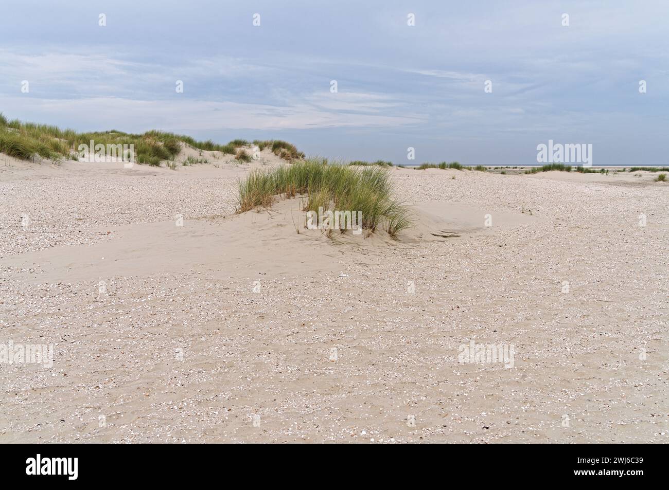 The abundance of the beach of Borkum Stock Photo