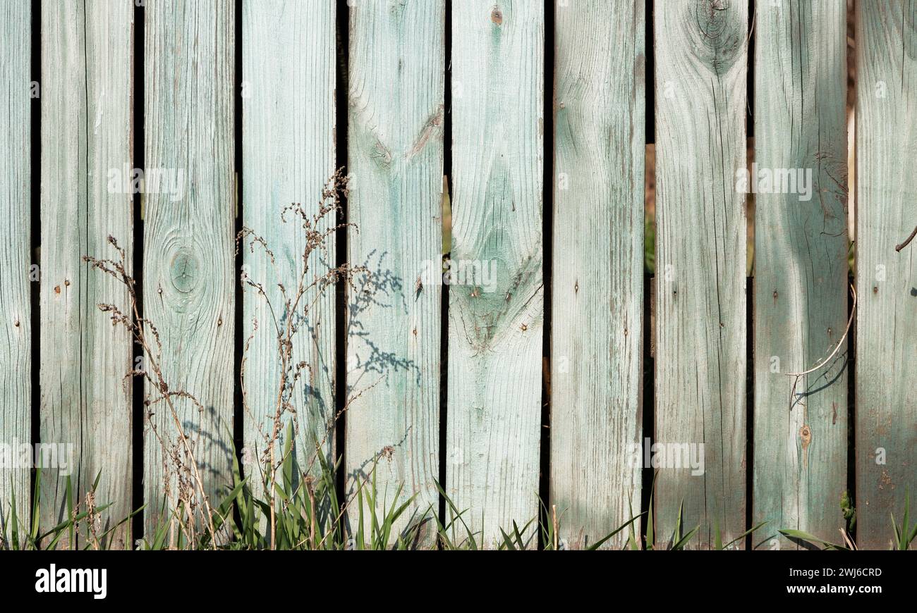 Rustic Grass Background Green grass on a background of old rustic style fence Stock Photo - Alamy