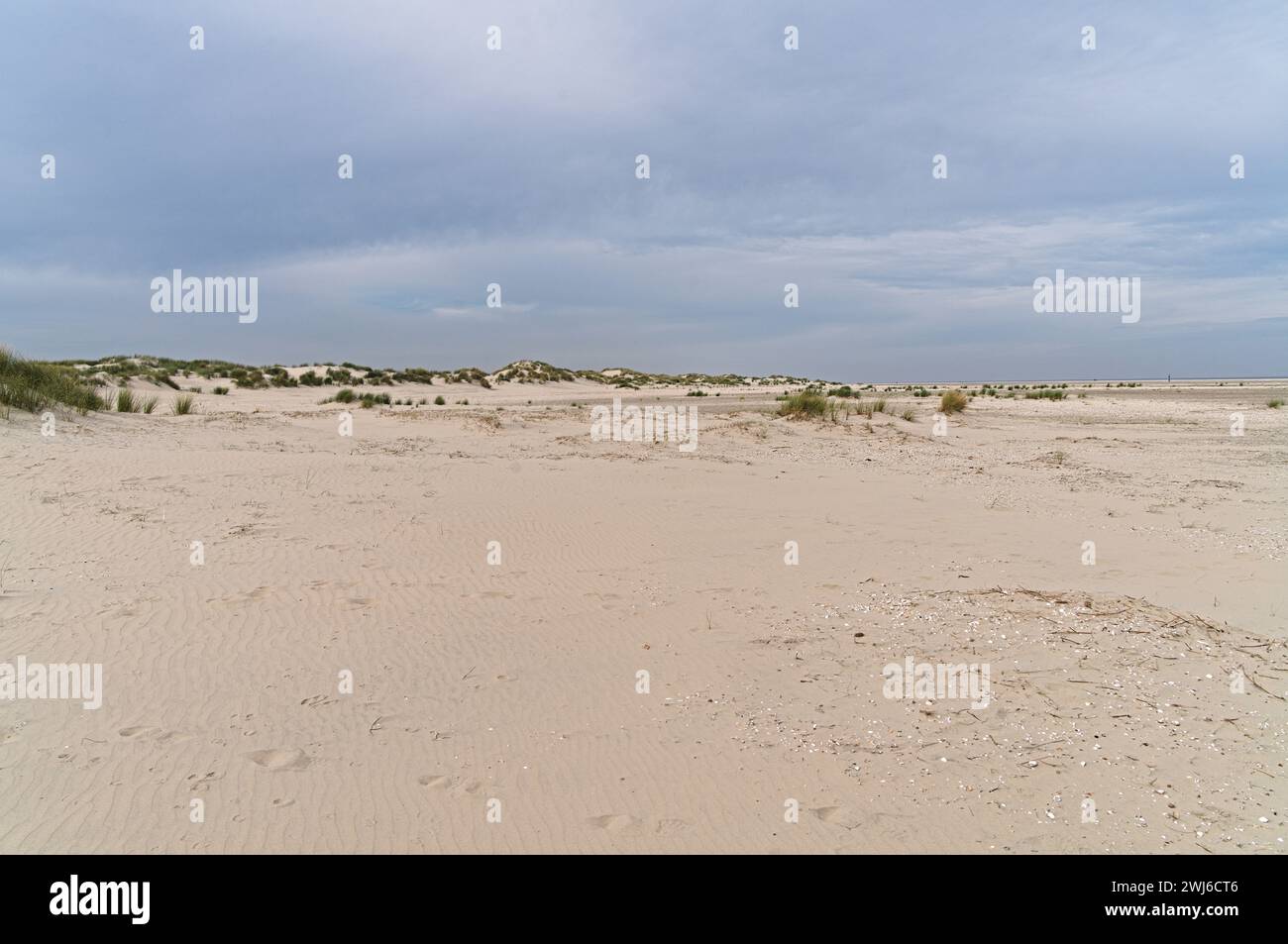 The abundance of the beach of Borkum Stock Photo
