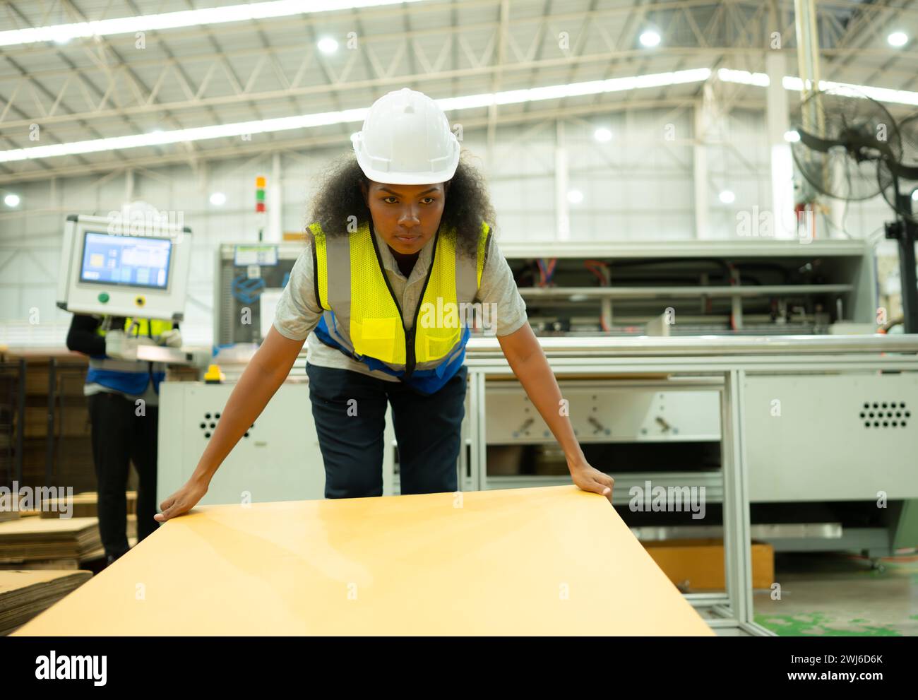 Young female checking a paper package in production line Stock Photo ...