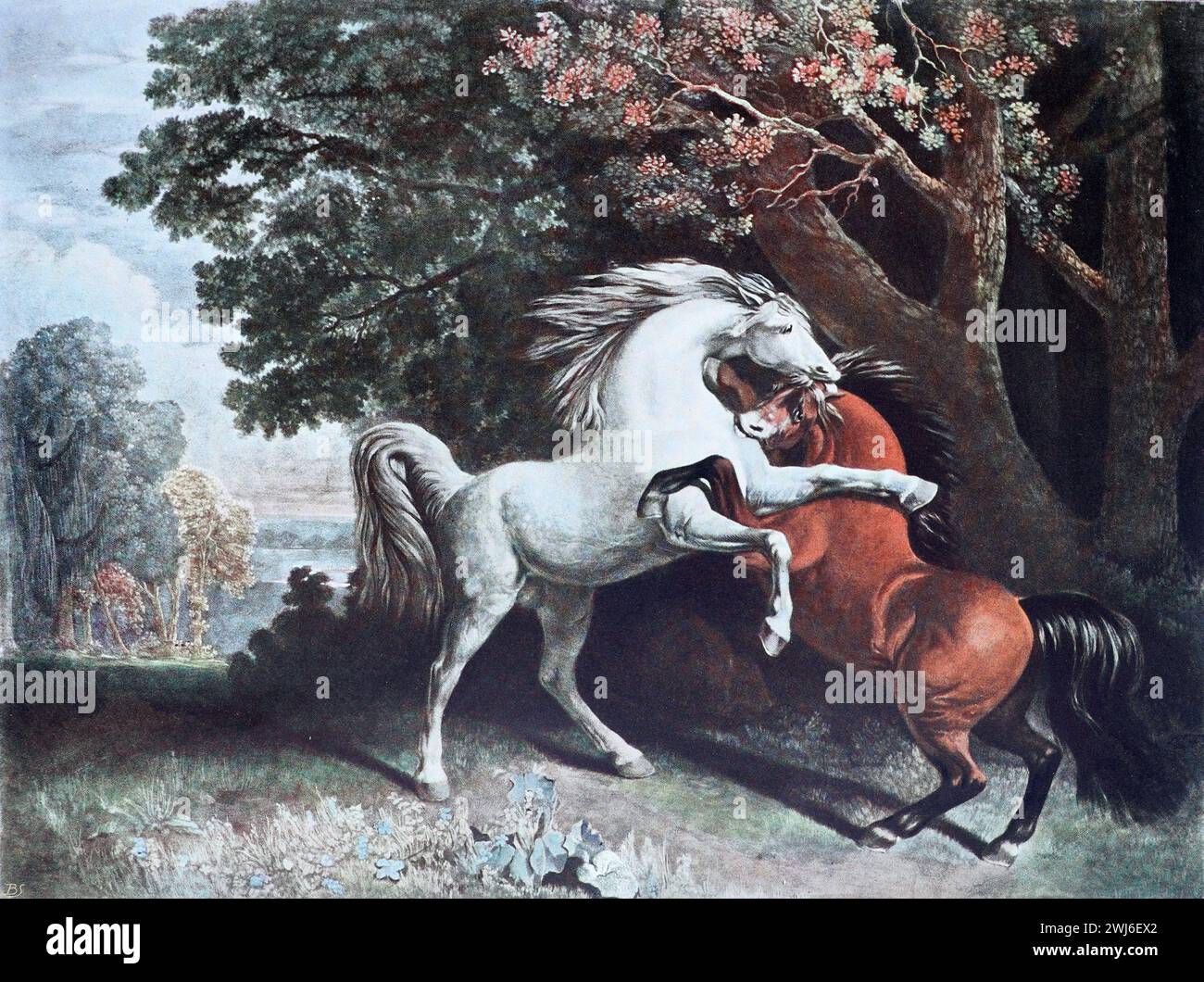 The Fighting Stallions by George Stubbs R.A. (1724–1806). Colour Illustration from the Connoisseur, an Illustrated Magazine for Collectors Voll 3 (May-Aug 1902) published in London. Stock Photo