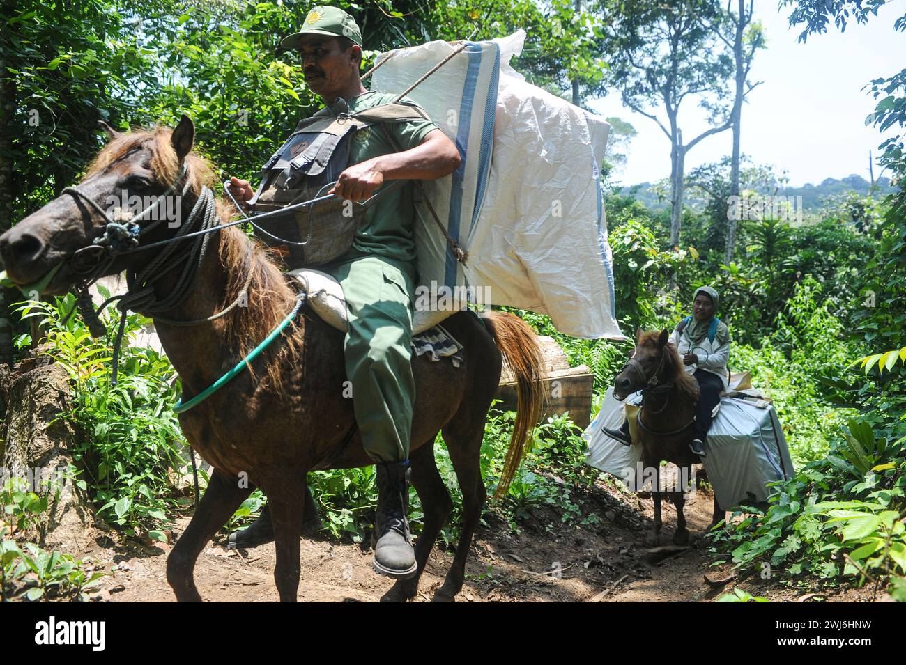 Jember, Indonesia. 13th Feb, 2024. Staff members deliver ballot boxes to remote areas on horse back at Meru Betiri National Park in Jember, East Java, Indonesia, on Feb. 13, 2024. Indonesia's 2024 presidential election will be held on Feb. 14. Credit: Sahlan Kurniawan/Xinhua/Alamy Live News Stock Photo