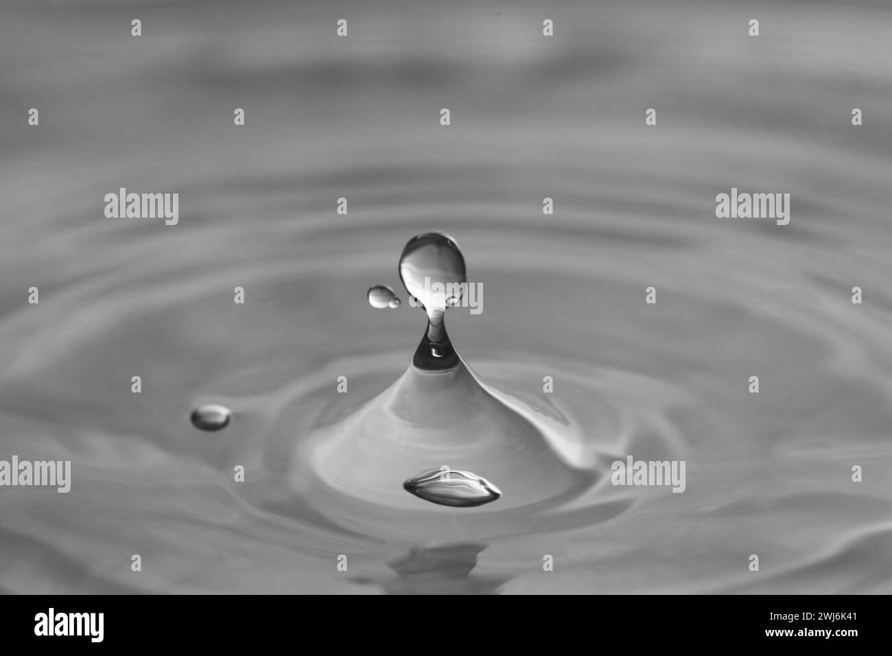 Splash of clear water with drops on grey background, closeup Stock Photo