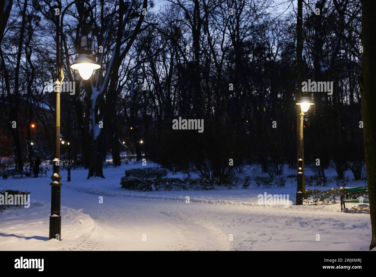 Trees, street lamps and pathway covered with snow in evening park Stock ...