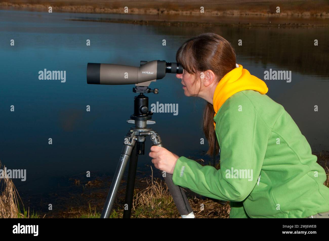 Birding with spotting scope, Baskett Slough National Wildlife Refuge ...