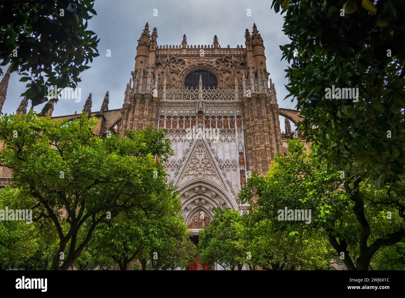 Gothic architecture of Seville Cathedral from orange trees courtyard garden, in Seville, Andalusia, Spain. Stock Photo