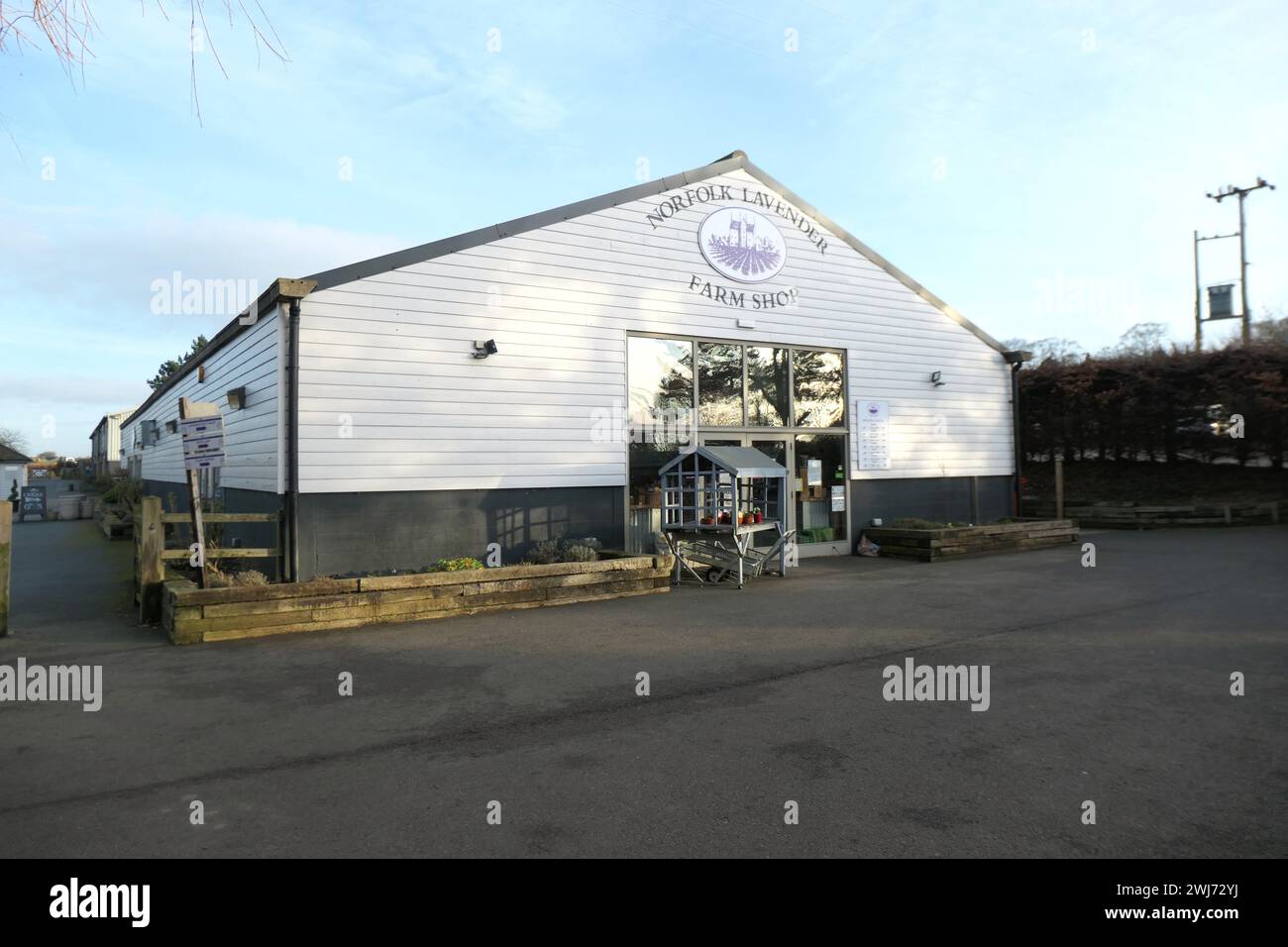 Norfolk Lavender shop place outside famous Hunstanton plants plant