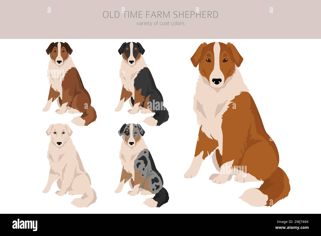 Old time cheap farm shepherd