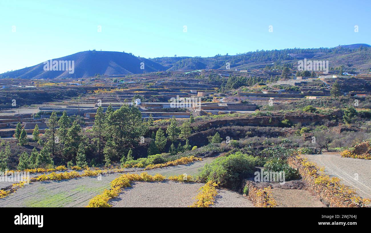 Panoramic view at cultivated landscape with terraced fields in the south of Tenerife island (Canary Islands, Spain) Stock Photo