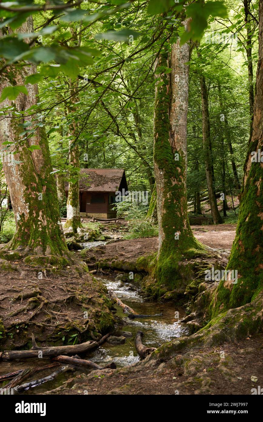Lonely Riverside Peaceful riverside location hi-res stock photography and images - Alamy