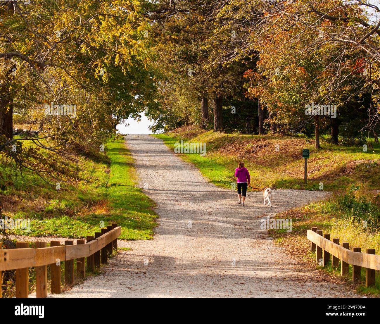 Variety different landscapes hi-res stock photography and images - Alamy