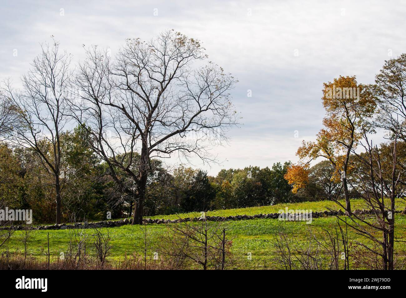 Variety different landscapes hi-res stock photography and images - Alamy