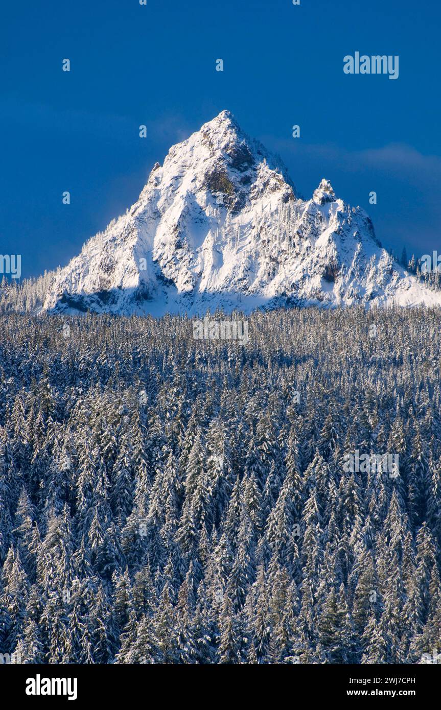 Mt Yoran from Oregon Highway 58, Willamette National Forest, Oregon Stock Photo Alamy