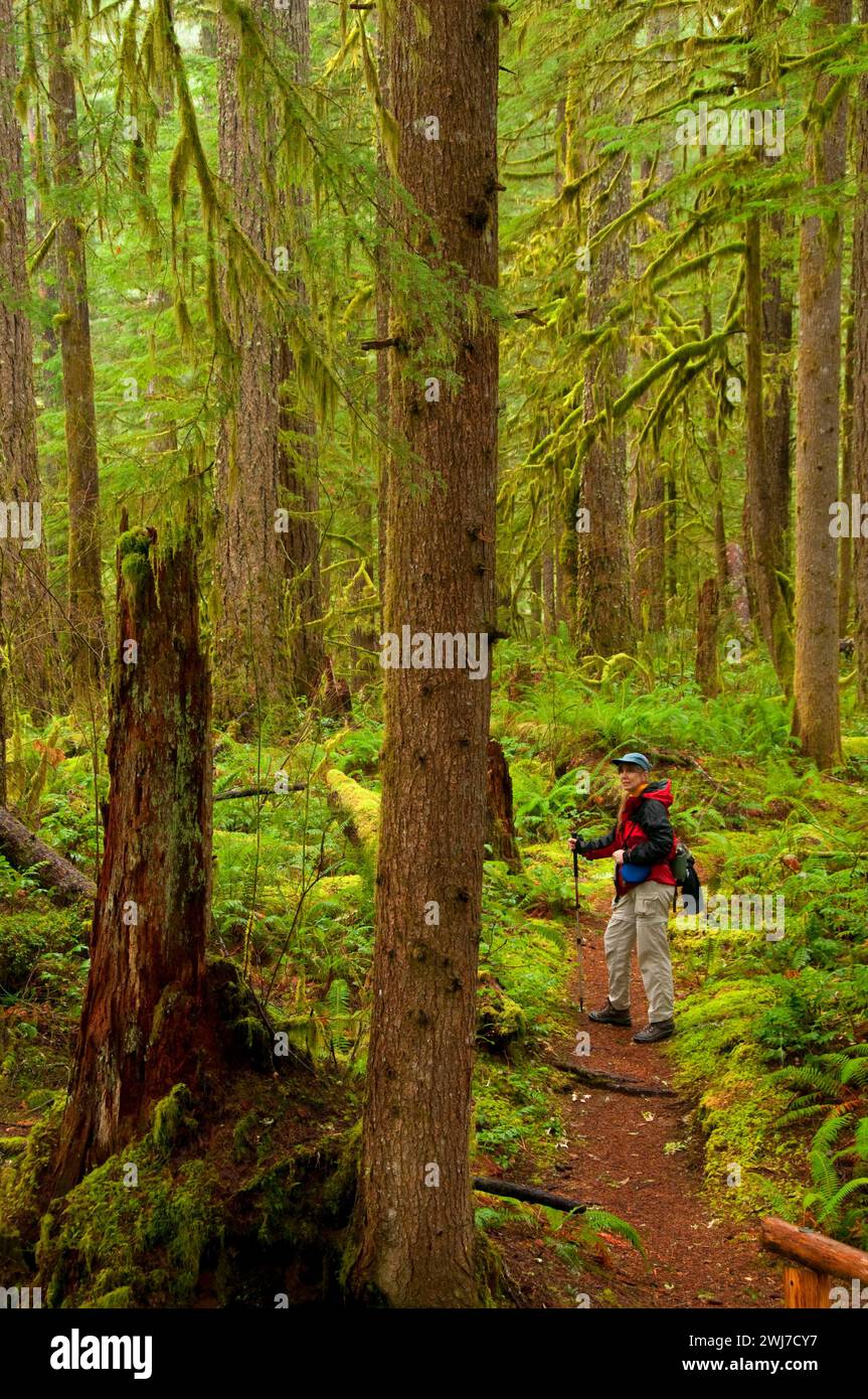 Little North Fork Santiam River Trail, Opal Creek Scenic Recreation