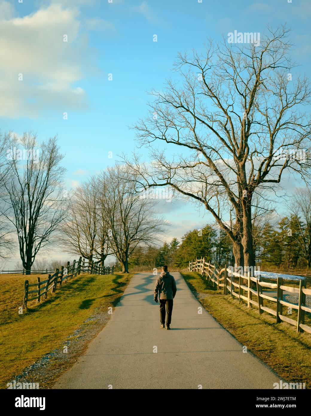 Person walking a path at Knox Farm State Park, East Aurora, New York
