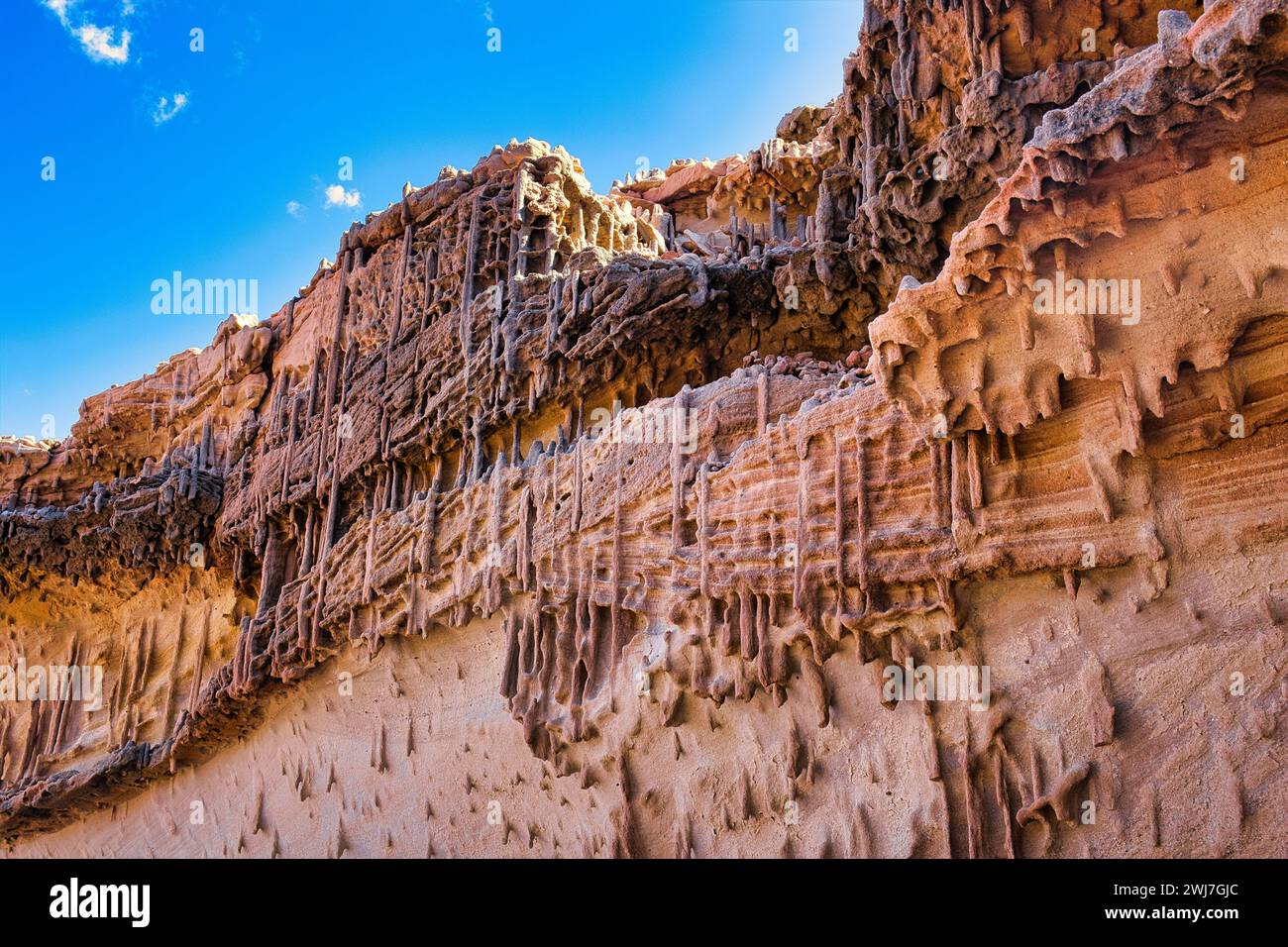 Fossils sedimentary rock hi-res stock photography and images - Alamy