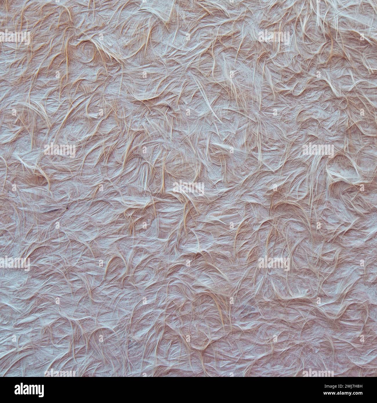 Pink feather background. Perfect abstract textured pattern. Stock Photo