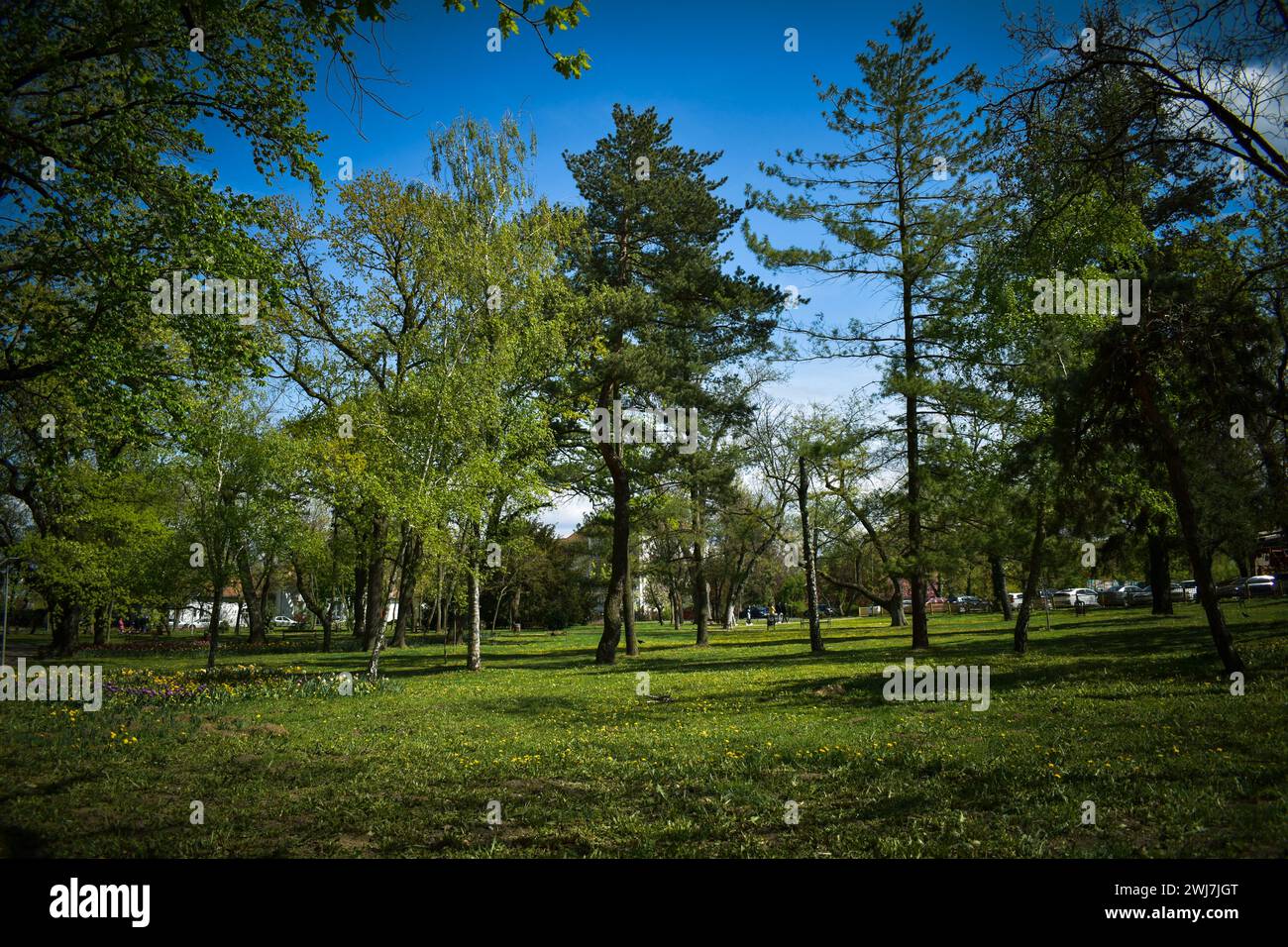 Lush green landscape hi-res stock photography and images - Alamy