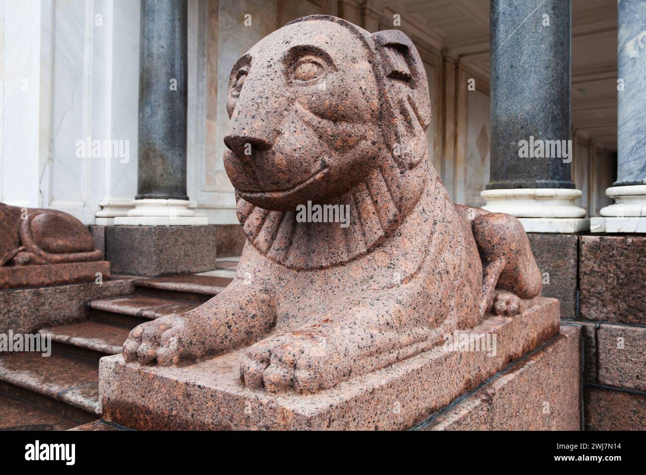Granite lion at the entrance of The marble Voronikhin colonnades received their name after their creator, the former serf Andrei Voronikhin. It was bu Stock Photo